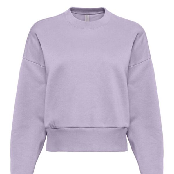 Sweat Shirt Thumbnail